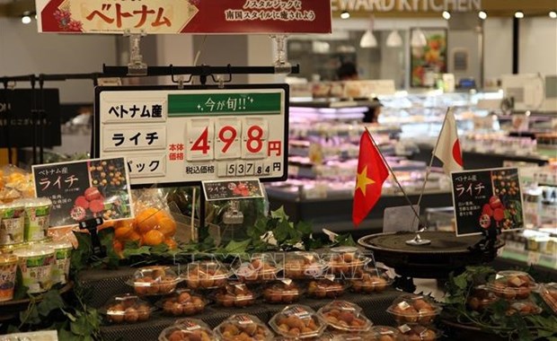 Les produits agroalimentaires vietnamiens se vendent bien au Japon
